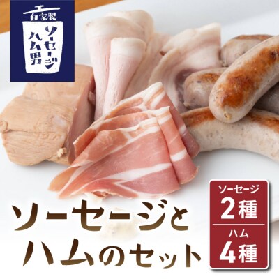 ソーセージとハムのセット(ソーセージ:プレーン、胡桃、ポークハム、チキンハム、生ハム)