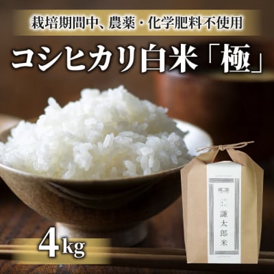 【太陽と大地】八重原産コシヒカリ白米「極」(栽培期間中農薬化学肥料不使用)4kg