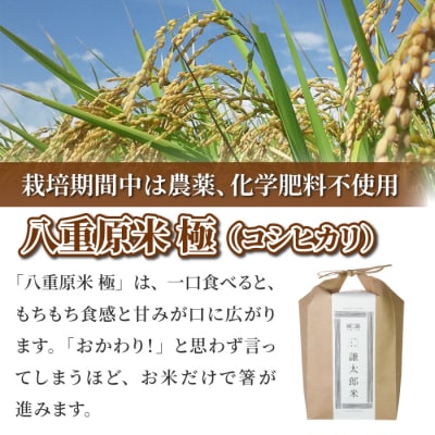 【太陽と大地】八重原産コシヒカリ白米「極」(栽培期間中農薬化学肥料不使用)4kg