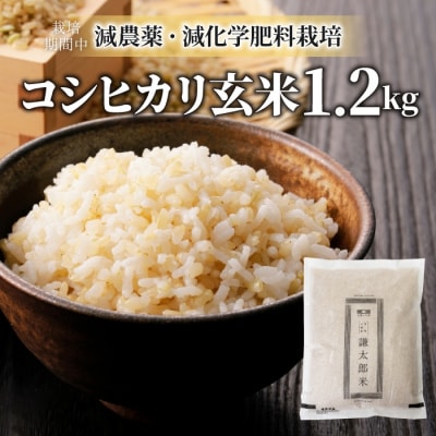 【太陽と大地】八重原産特別栽培米(栽培期間中 減農薬・減化学肥料栽培)コシヒカリ玄米1kg 