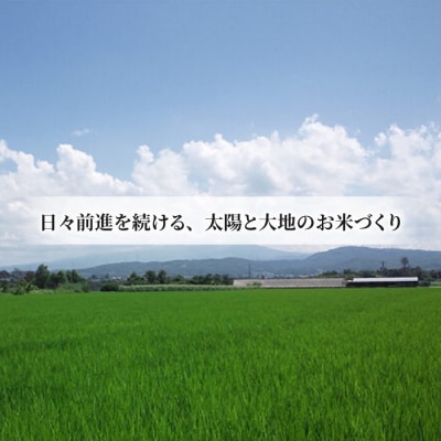 【太陽と大地】八重原産特別栽培米(栽培期間中 減農薬・減化学肥料栽培)コシヒカリ玄米1kg 
