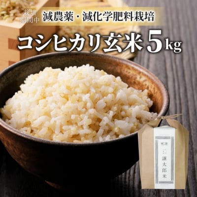 【太陽と大地】八重原産特別栽培米(栽培期間中 減農薬・減化学肥料栽培)コシヒカリ玄米5kg