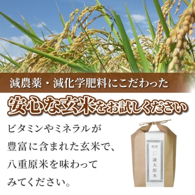 【太陽と大地】八重原産特別栽培米(栽培期間中 減農薬・減化学肥料栽培)コシヒカリ玄米5kg