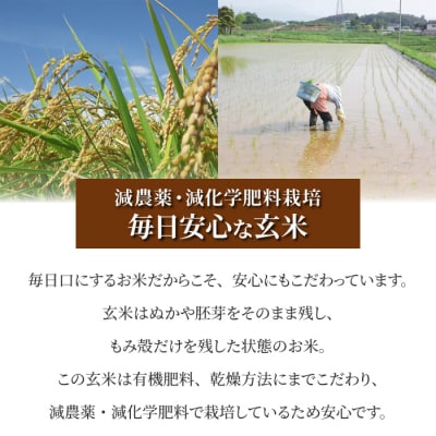 【太陽と大地】八重原産特別栽培米(栽培期間中 減農薬・減化学肥料栽培)コシヒカリ玄米5kg