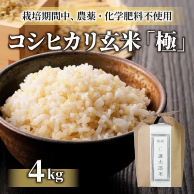 【太陽と大地】令和7年産「八重原産コシヒカリ玄米「極」(栽培期間中農薬化学肥料不使用)4kg」