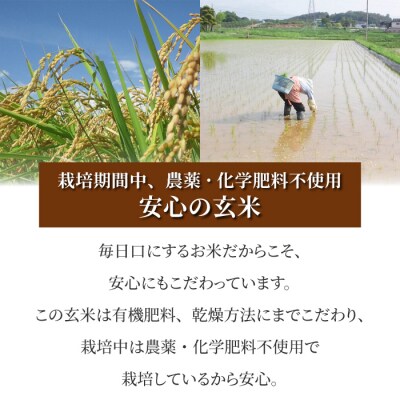 【太陽と大地】令和7年産「八重原産コシヒカリ玄米「極」(栽培期間中農薬化学肥料不使用)4kg」