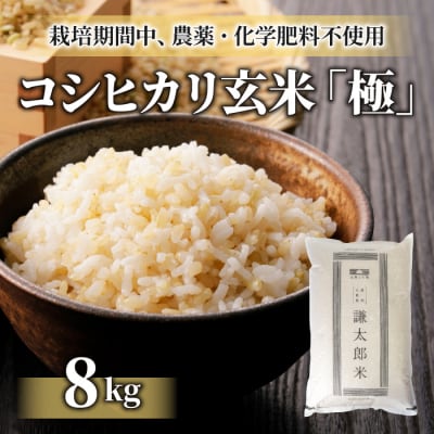 【太陽と大地】令和7年産「八重原産コシヒカリ玄米「極」(栽培期間中農薬化学肥料不使用)8kg」