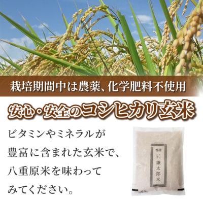 【太陽と大地】令和7年産「八重原産コシヒカリ玄米「極」(栽培期間中農薬化学肥料不使用)8kg」