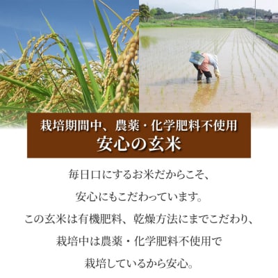 【太陽と大地】令和7年産「八重原産コシヒカリ玄米「極」(栽培期間中農薬化学肥料不使用)8kg」