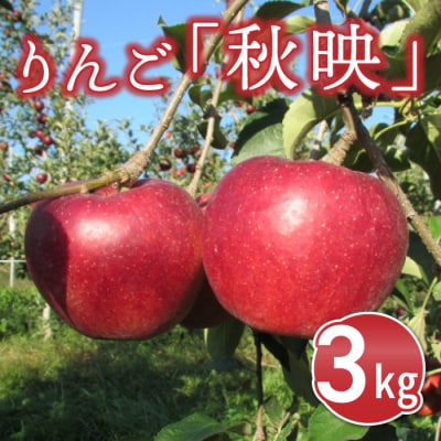 東御市産りんご長野県オリジナル品種「秋映」3kg ※9月下旬～10月上旬ごろお届け予定