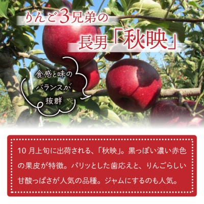 東御市産りんご長野県オリジナル品種「秋映」3kg ※9月下旬～10月上旬ごろお届け予定