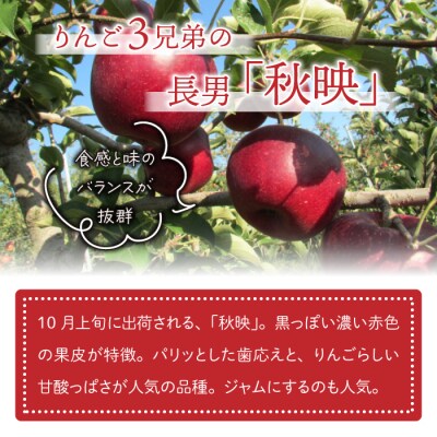 りんご「秋映」3kg 長野県オリジナル品種 |JA信州うえだ東部地区営農課 東御市産 
