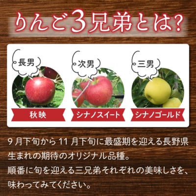 東御市産りんご長野県オリジナル品種「秋映」3kg ※9月下旬～10月上旬ごろお届け予定