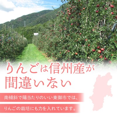 りんご「シナノスイート」3kg 長野県オリジナル品種|JA信州うえだ東部地区営農課 東御市産 