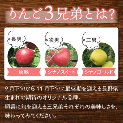 りんご「シナノスイート」3kg 長野県オリジナル品種|JA信州うえだ東部地区営農課 東御市産 
