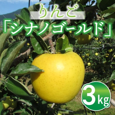 東御市産りんご長野県オリジナル品種「シナノゴールド」3kg ※10月下旬～11月下旬ごろお届け予定