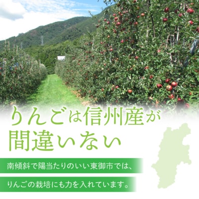 東御市産りんご長野県オリジナル品種「シナノゴールド」3kg ※10月下旬～11月下旬ごろお届け予定
