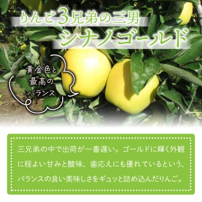 東御市産りんご長野県オリジナル品種「シナノゴールド」3kg ※10月下旬～11月下旬ごろお届け予定
