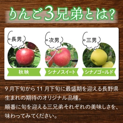東御市産りんご長野県オリジナル品種「シナノゴールド」3kg ※10月下旬～11月下旬ごろお届け予定