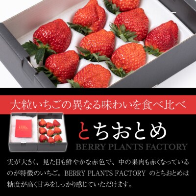 【BERRY PLANTS FACTORY】大粒!「とちおとめ」と「さちのか」のセット 
