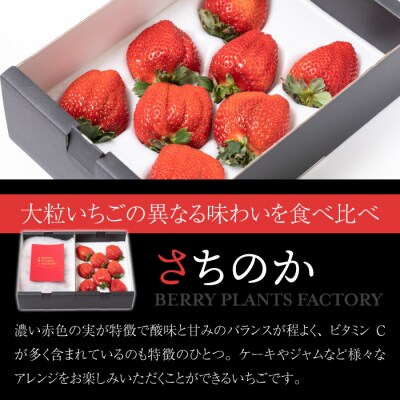 【BERRY PLANTS FACTORY】大粒!「とちおとめ」と「さちのか」のセット 