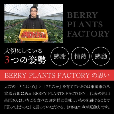 【BERRY PLANTS FACTORY】大粒!「とちおとめ」と「さちのか」のセット 