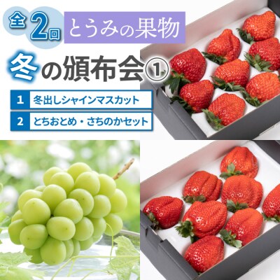 とうみの果物 冬の頒布会(2回コース) 冬出しシャインマスカットといちごの頒布会 