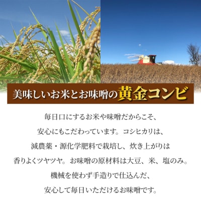 【太陽と大地】八重原産特別栽培米コシヒカリ(白米)1kgと信州味噌「八重原味噌」500gのセット 