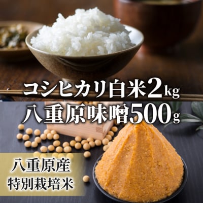【太陽と大地】八重原産特別栽培米コシヒカリ(白米)2kgと信州味噌「八重原味噌」500gのセット