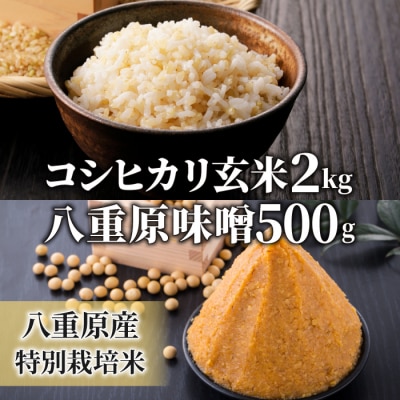 【太陽と大地】八重原産特別栽培米コシヒカリ(玄米)2kgと信州味噌「八重原味噌」500gのセット