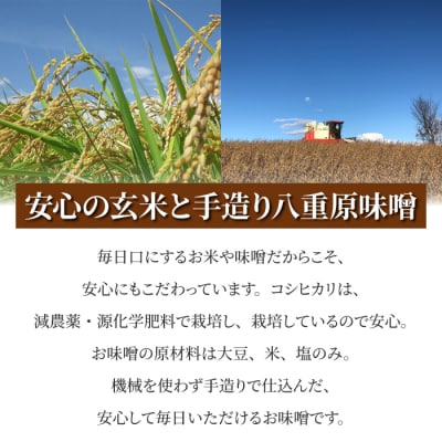 【太陽と大地】八重原産特別栽培米コシヒカリ(玄米)2kgと信州味噌「八重原味噌」500gのセット
