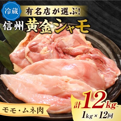 【12回定期便】朝びき!信州黄金シャモ モモ・ムネ肉セット (冷蔵)