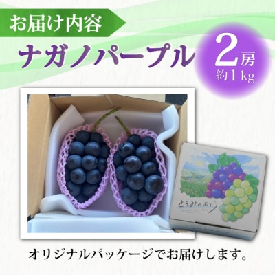 東御市産ナガノパープル2房 約1kg