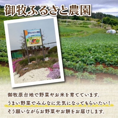 【御牧ふるさと農園】お餅セット3kg(ゆきもち、きびもち、玄米もち、豆もち)