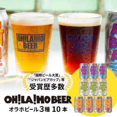 【クラフトビール】 3種飲み比べ10本セット(ゴールデンエール、アンバーエール、ヌーベルセゾン)  