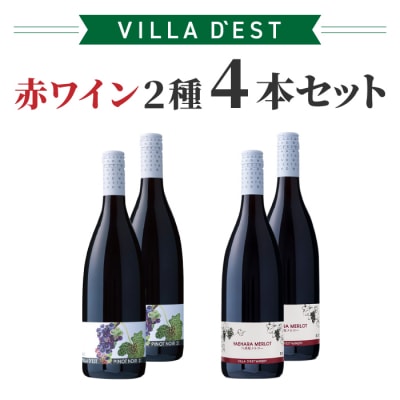 赤ワイン 2種4本セット【ヴィラデストワイナリー】 (八重原メルロー・ピノ・ノワール)