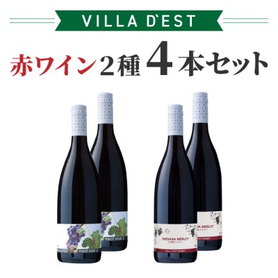 赤ワイン 2種 4本セット(ピノ・ノワール & 八重原 メルロー)|【ヴィラデスト ワイナリー】