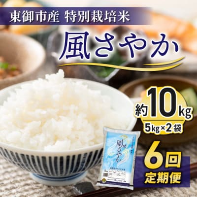 【6回定期便】東御市産の特別栽培米「風さやか」約10㎏ 