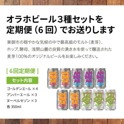 【6回定期便】クラフトビール3種飲み比べ10本セット
