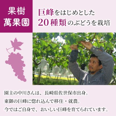 100%巨峰ジュース　1L　2本セット【萬果園】