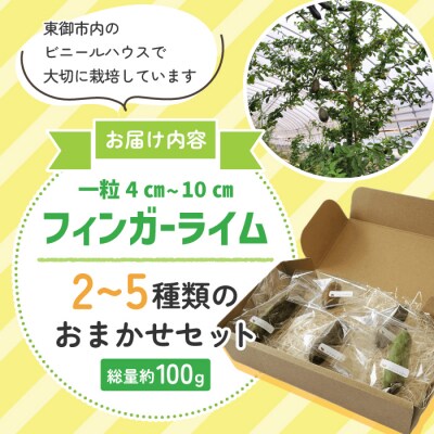 東御市産!フィンガーライム 約100g 