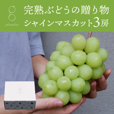 【先行受付2026年発送】完熟ぶどうの贈り物(シャインマスカット3房)|glasses farm 