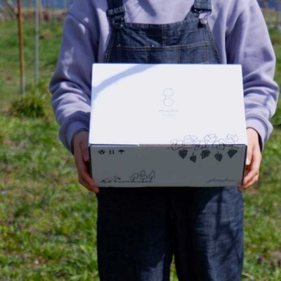 先行受付2025年発送【glasses farm】完熟ぶどうの贈り物(シャインマスカット3房)