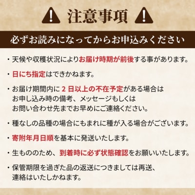 【先行受付2025年発送】【東御こもだ果樹園】冬ギフト・シャインマスカット2房 贈答化粧箱入