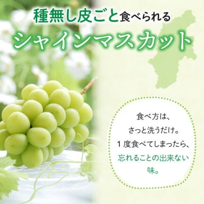 【先行受付2026年発送】東御市産クイーンルージュ(R)&シャインマスカットのセット