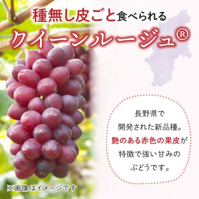 【先行受付2026年発送】東御市産クイーンルージュ(R)&シャインマスカットのセット