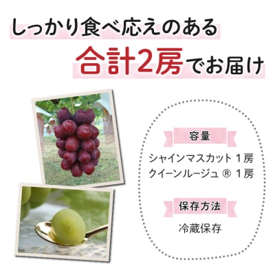 【先行受付2026年発送】東御市産クイーンルージュ(R)&シャインマスカットのセット