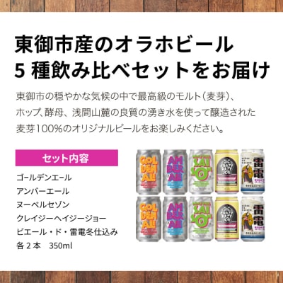【オラホビール】5種10本飲み比べセット