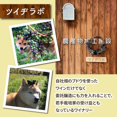 【ツイヂラボ】8種のりんごでできた、醸しシードル1本 