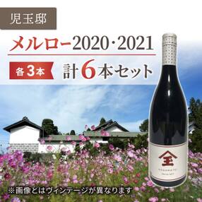 【ゼロ磁場の児玉邸】メルロー(赤ワイン)飲み比べ6本セット 